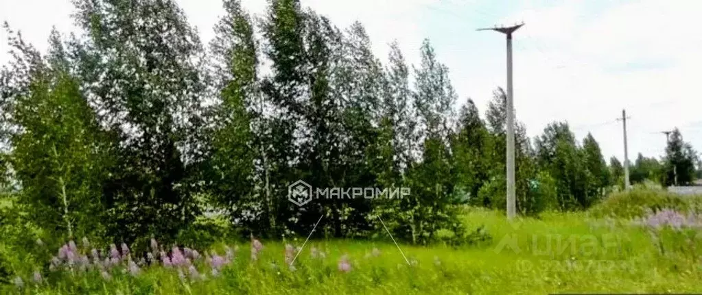 Участок в Челябинская область, Аргаяшский муниципальный округ, Тимер ... - Фото 1