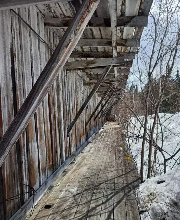 Помещение свободного назначения в Ямало-Ненецкий АО, Красноселькупский ... - Фото 1