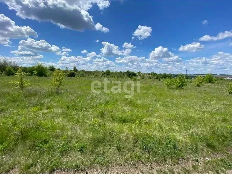 Участок в Воронежская область, Семилукский район, с. Девица  (48.0 ... - Фото 1
