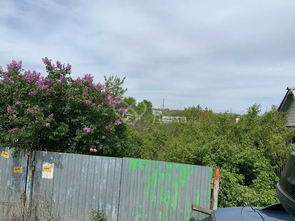 Участок в Волгоградская область, Волгоград Мичуринец СНТ, № 5 массив,  ... - Фото 2