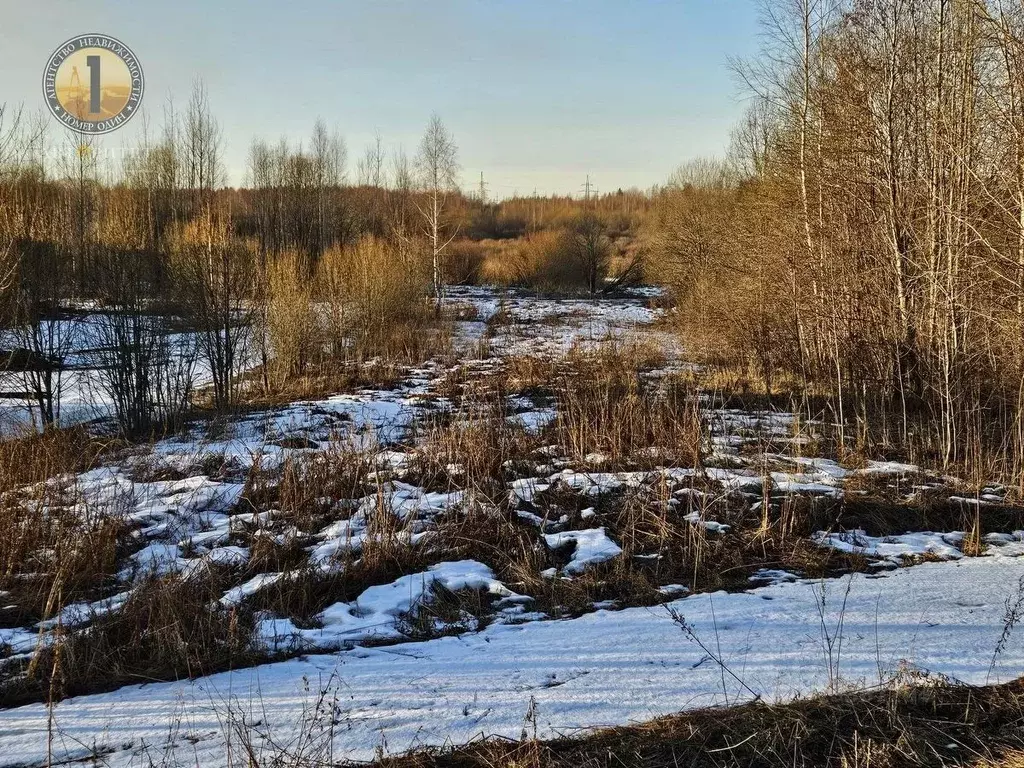 Участок в Вологодская область, Череповецкий район, Югское ... - Фото 1