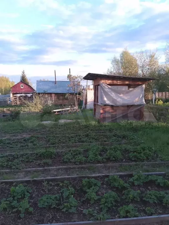 Участок 6 сот. (СНТ, ДНП) - Фото 1