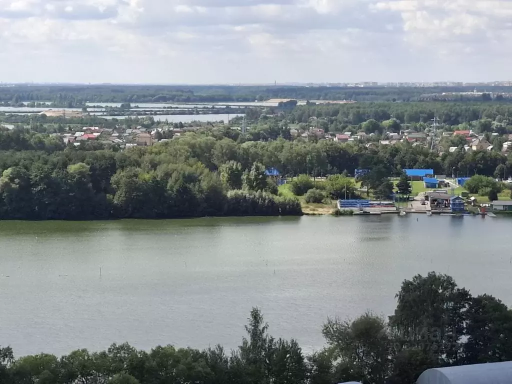 2-к кв. Московская область, Старая Купавна Богородский городской ... - Фото 1