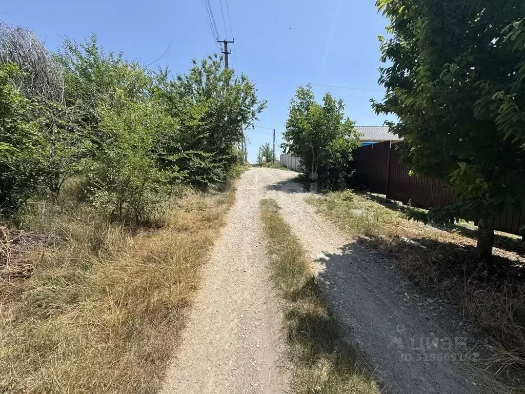 Участок в Крым, Симферопольский район, Чистенское с/пос, Родничок СПК ... - Фото 1