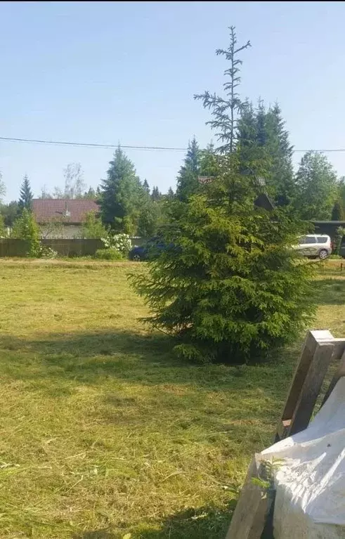 Участок в Ленинградская область, Всеволожский район, Агалатовское ... - Фото 2