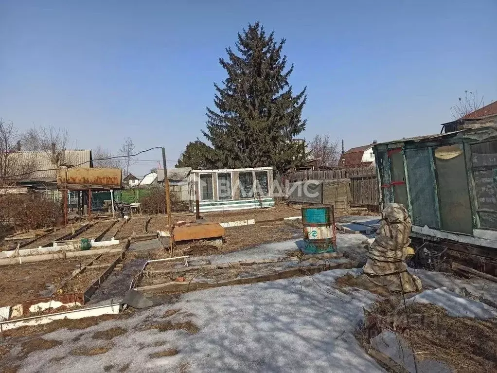 Участок в Забайкальский край, Чита № 36 Сигнал СНТ, 36 (4.56 сот.) - Фото 1