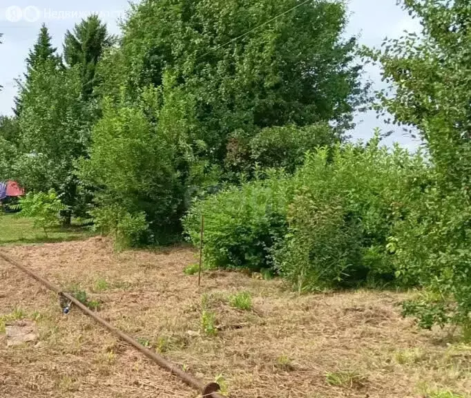 Участок в Кемеровский муниципальный округ, садоводческое ... - Фото 2