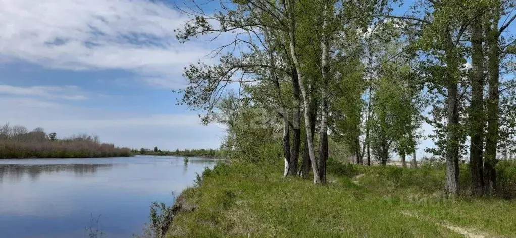 Участок в Тюменская область, Тюменский муниципальный округ, с. Борки  ... - Фото 0