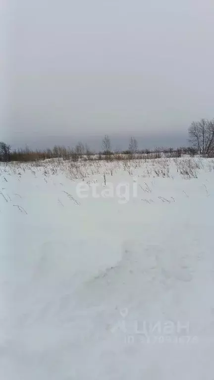 Участок в Башкортостан, Стерлитамакский район, д. Казадаевка, Любажи ... - Фото 1