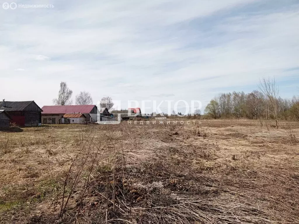 Участок в Костромской район, Шунгенское сельское поселение, деревня ... - Фото 2