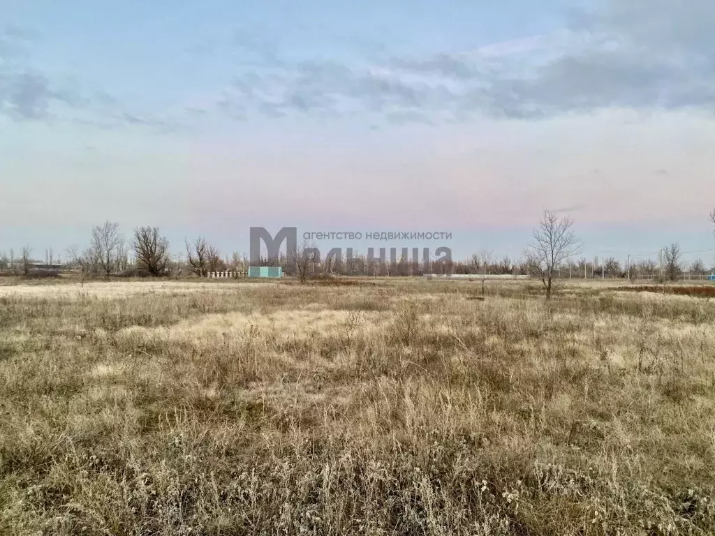 Участок в Волгоградская область, Городищенский район, Новожизненское ... - Фото 0