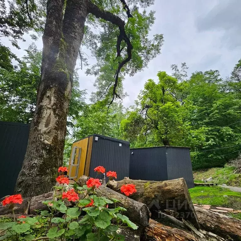 Дом в Краснодарский край, Сочи Красная Поляна пгт, ул. Защитников ... - Фото 2