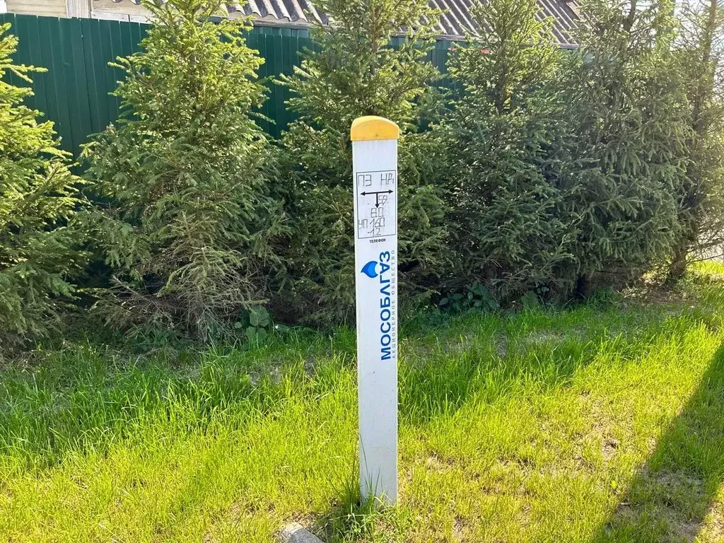 Участок в Московская область, Одинцовский городской округ, д. Татарки, ... - Фото 2