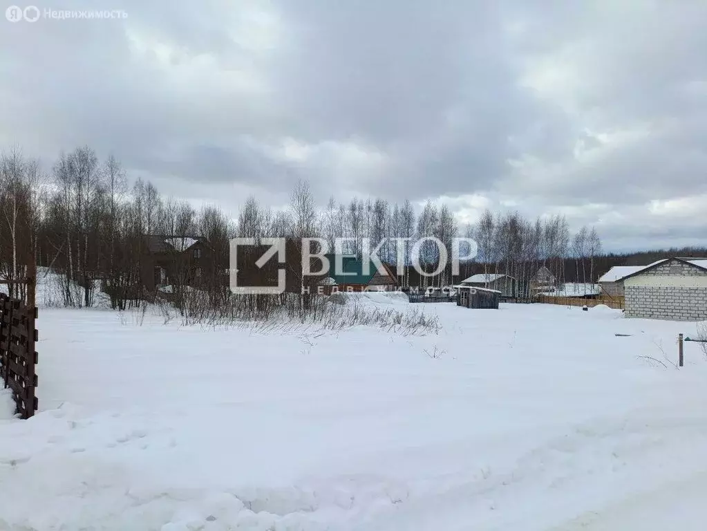 Участок в Костромской район, Апраксинское сельское поселение, деревня ... - Фото 1