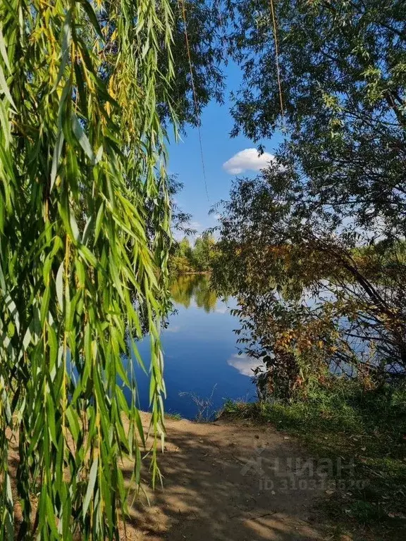 Участок в Тамбовская область, Тамбов городской округ, д. Перикса, ... - Фото 0