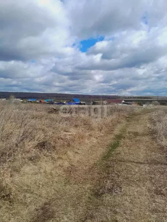 Участок в Свердловская область, Талицкий городской округ, с. ... - Фото 1