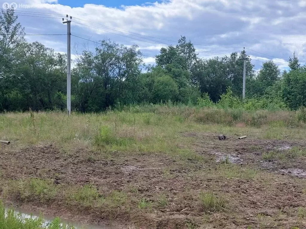 Участок в Мичуринское сельское поселение, село Федоровка, улица ... - Фото 1