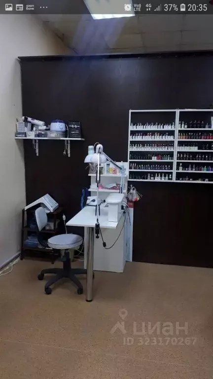 Помещение свободного назначения в Томская область, Томск просп. Мира, ... - Фото 2