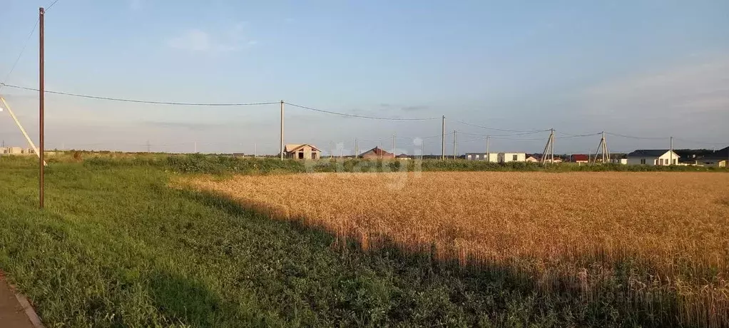 Участок в Белгородская область, Белгородский район, Беловское с/пос, ... - Фото 0