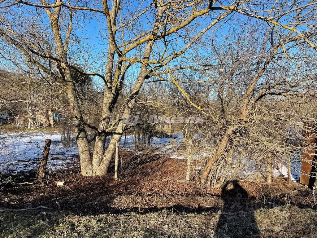 Участок в Крым, Симферопольский район, Добровское с/пос, Лозовое-3 ... - Фото 1