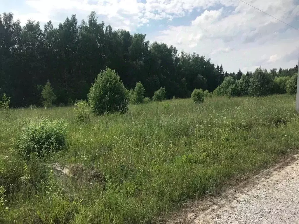 Участок в Калужская область, Малоярославецкий район, Маклино с/пос, ... - Фото 2
