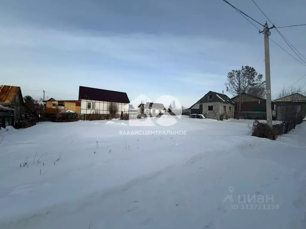 Участок в Новосибирская область, Новосибирск Ложок садовое ... - Фото 0