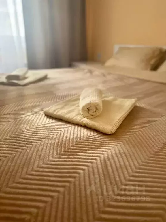 1-к кв. Псковская область, Псковский район, Завеличенская волость, д. ... - Фото 2