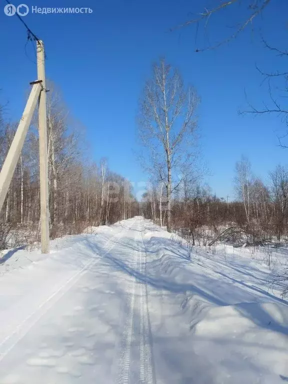 Участок в Хабаровский край, Комсомольск-на-Амуре (10 м) - Фото 0