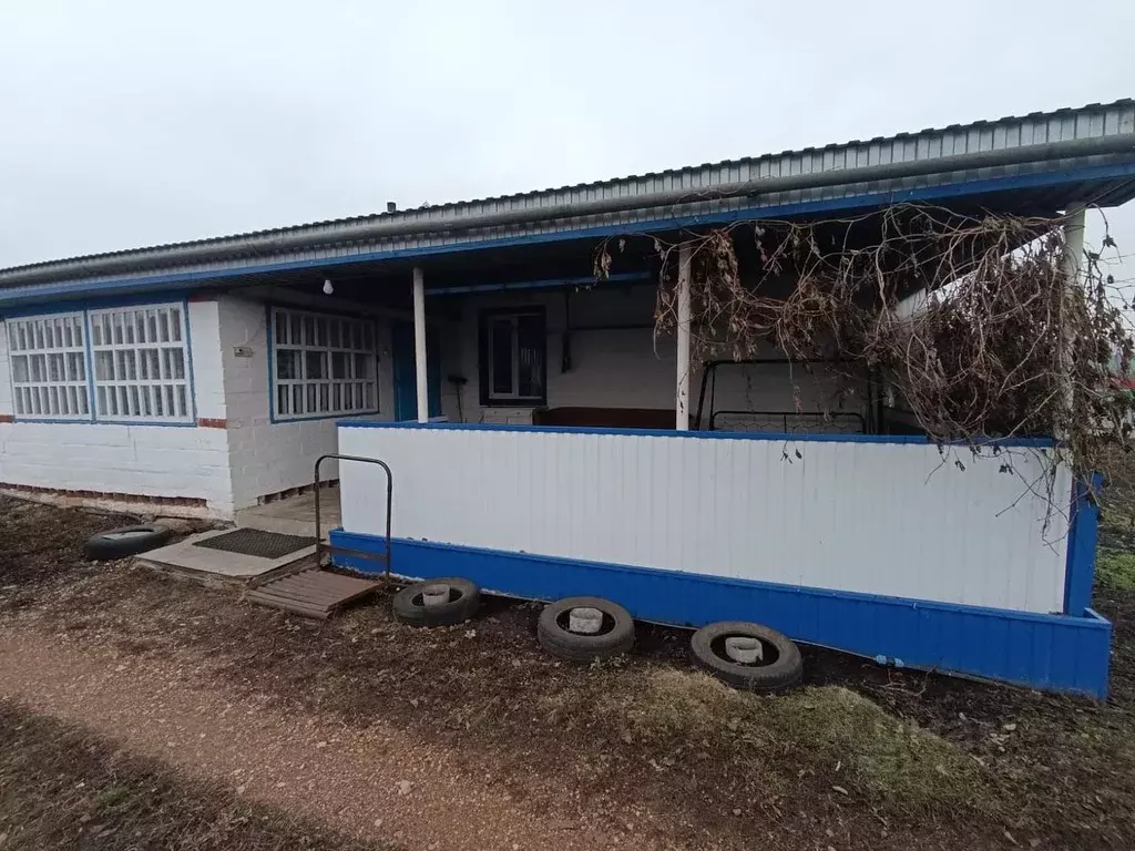 Дом в Оренбургская область, Красногвардейский район, Токский ... - Фото 2