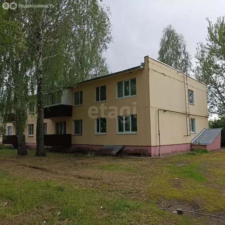 1-комнатная квартира: село Бяково, Молодёжная улица, 42 (34.1 м) - Фото 0