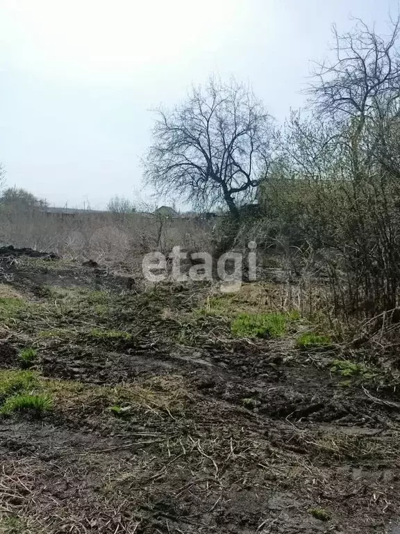 Участок 10 сот. (ИЖС) - Фото 0