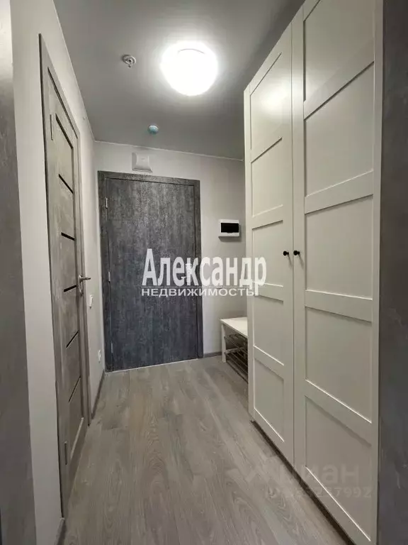 Студия Санкт-Петербург Детский пер., 2 (29.9 м) - Фото 1