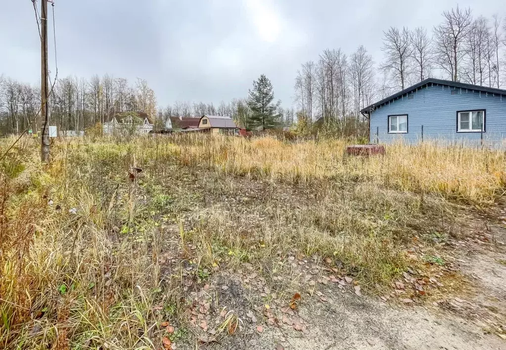 Участок в Ленинградская область, Ломоносовский район, Виллозское ... - Фото 1