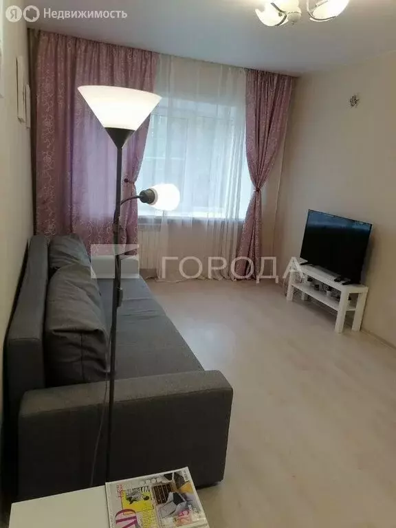 1-комнатная квартира: Новосибирск, Советская улица, 58 (30 м) - Фото 2