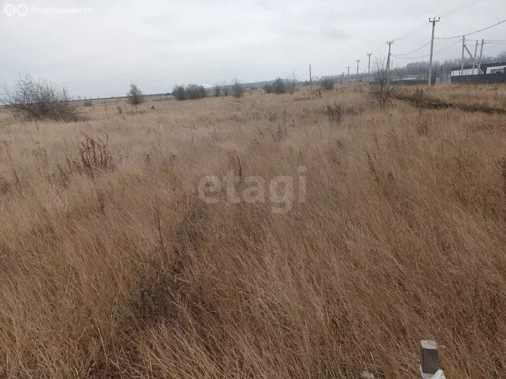 Участок в Архангельское, микрорайон Зенит, Брусничная улица (10 м) - Фото 2