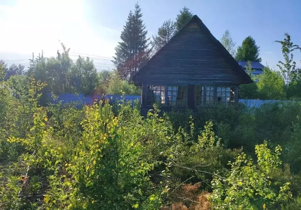 Участок в Ленинградская область, Выборгский район, Рощинское городское ... - Фото 2