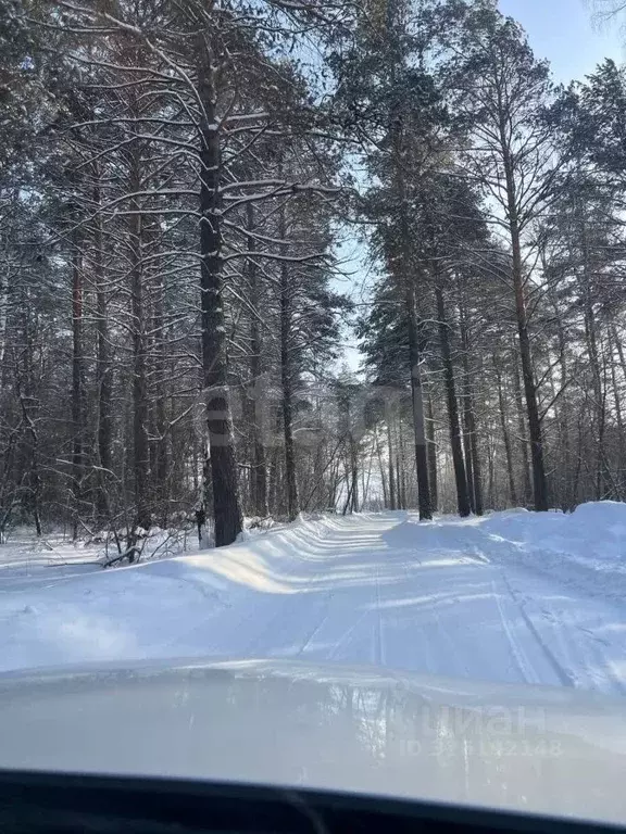 Участок в Новосибирская область, Новосибирский район, Барышевский ... - Фото 1