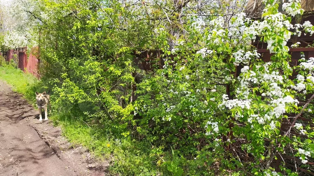 Участок 5 сот. (СНТ, ДНП) - Фото 1