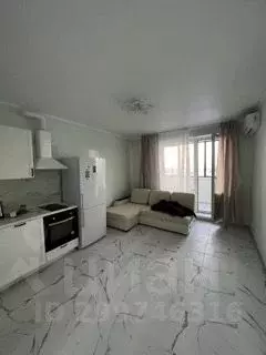 Студия Московская область, Домодедово ул. Современников, 8 (28.0 м) - Фото 0