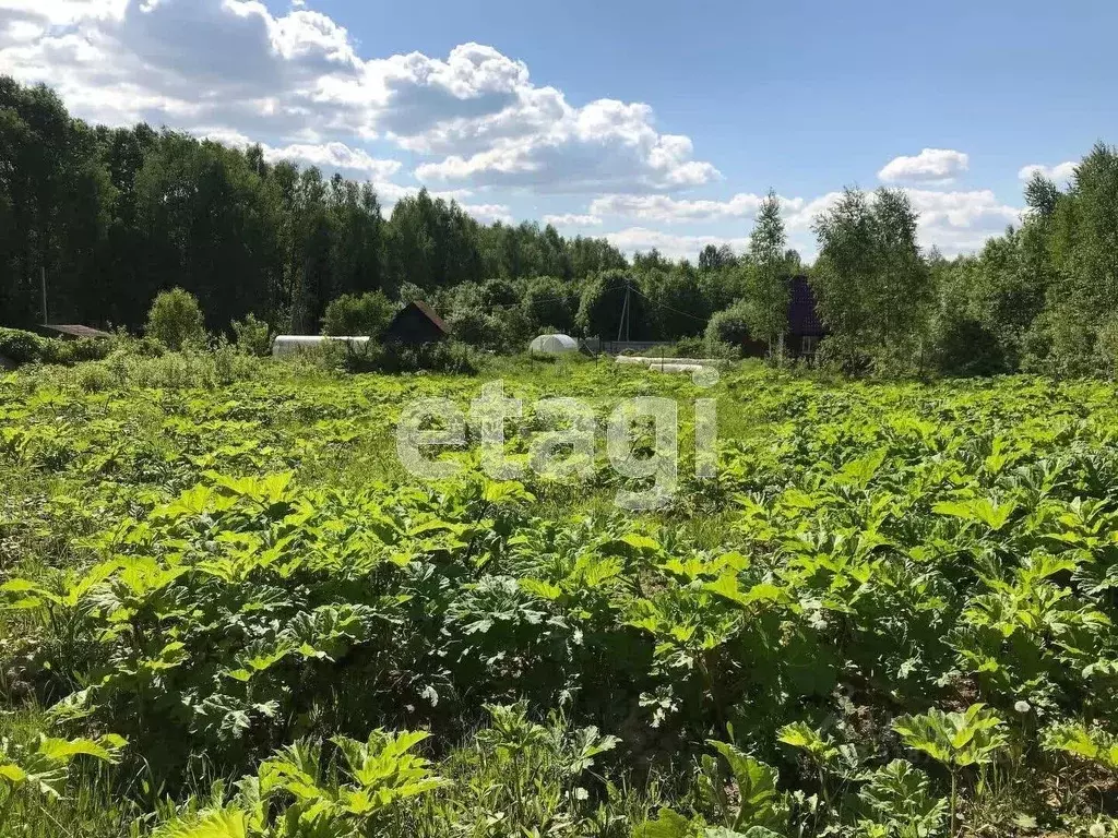 Участок в Калужская область, Калуга городской округ, д. Жерело  (15.0 ... - Фото 0