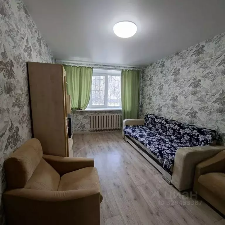 1-к кв. Нижегородская область, Дзержинск ул. Чапаева, 66 (30.0 м) - Фото 2