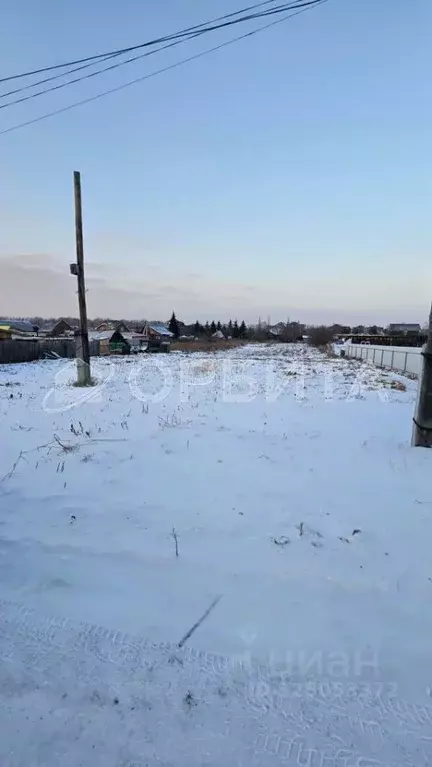 Участок в Тюменская область, Тюменский муниципальный округ, д. ... - Фото 2