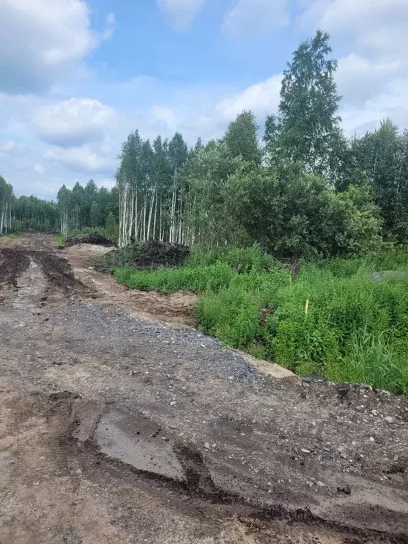 Участок в Тюменская область, Тюменский район, д. Решетникова, ... - Фото 0
