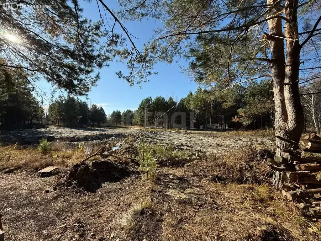Участок в Бессоновский район, посёлок Подлесный, КП Лесное озеро ... - Фото 2