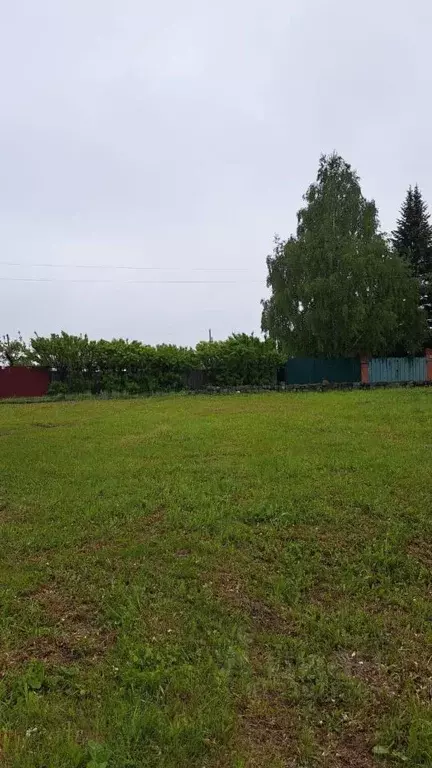 Участок в Кемеровская область, Кемерово Урожай СНТ, 517А (6.0 сот.) - Фото 2