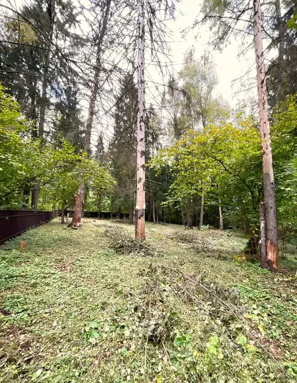 Участок в Московская область, Одинцовский городской округ, пос. ... - Фото 1