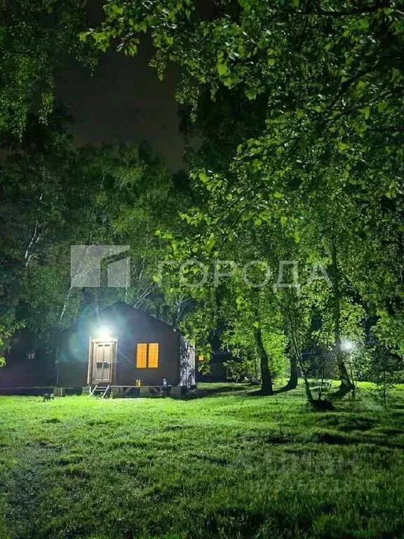 Дом в Алтайский край, Первомайский район, Мечта СНТ 817Б (36 м) - Фото 0