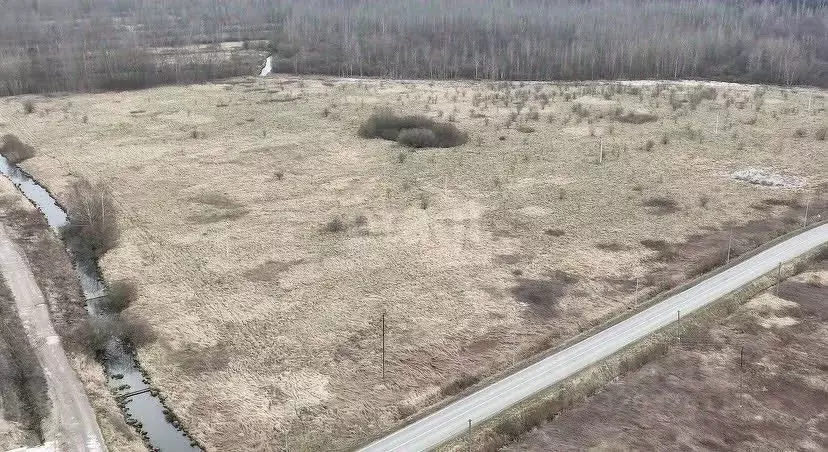Участок в Калининградская область, Светловский городской округ, пос. ... - Фото 0