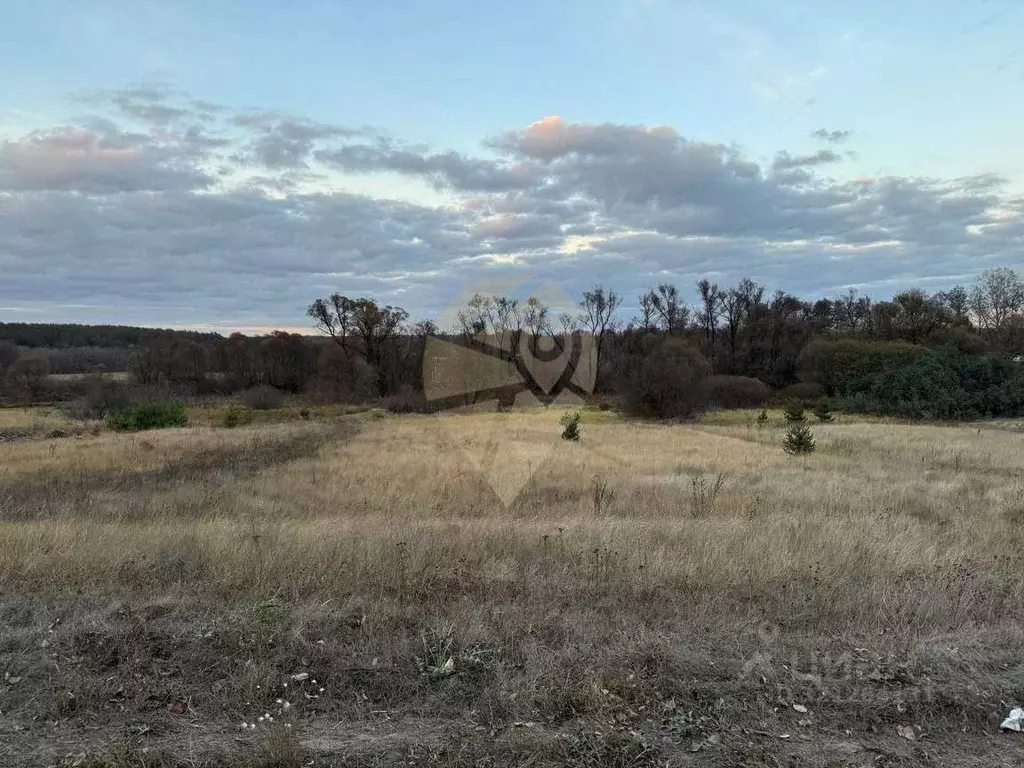 Участок в Белгородская область, Старооскольский городской округ, с. ... - Фото 1