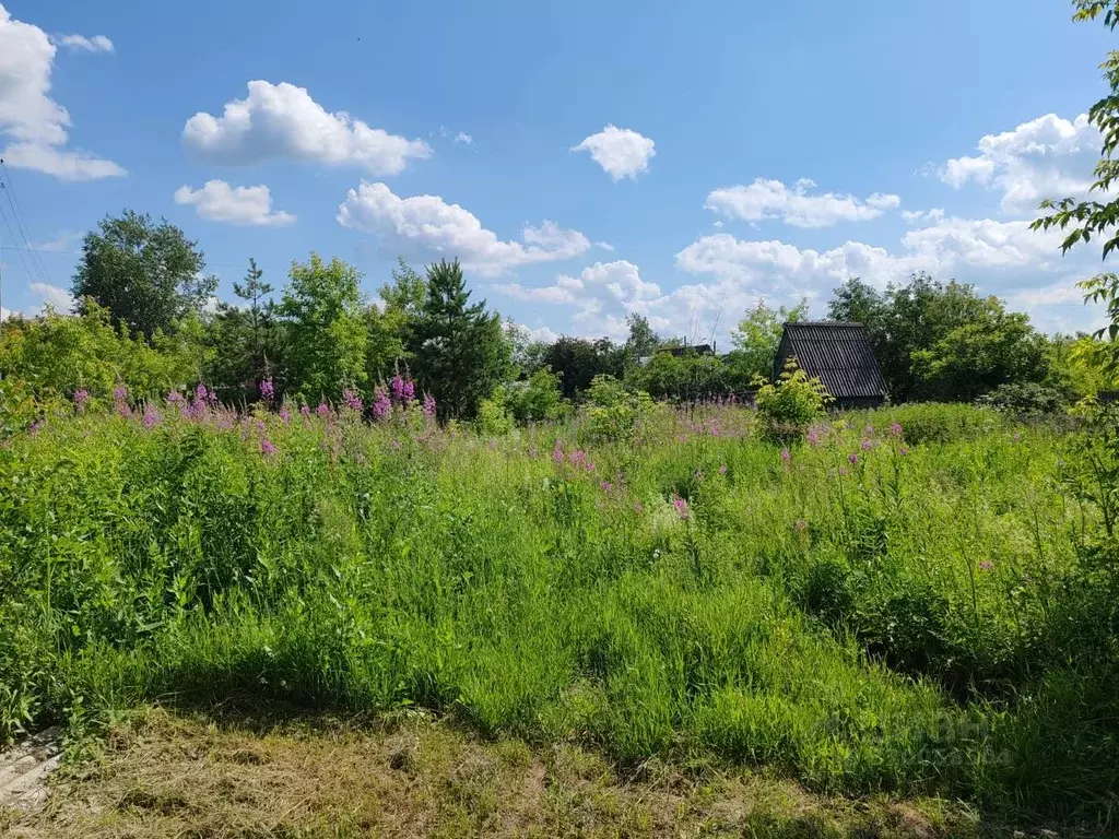 Участок в Свердловская область, Белоярский пгт, Пышминский ... - Фото 1